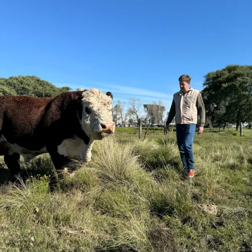 DIAGNÓSTICO PRECOZ DE PREÑEZ BOVINA POR ECOGRAFÍA
